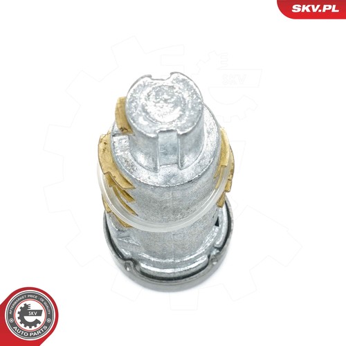 Fits skv germany 65skv524 - 65skv524, door