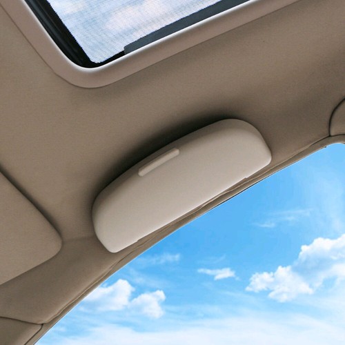 Car sunglasses storage box - storage,